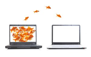 ESG报告
